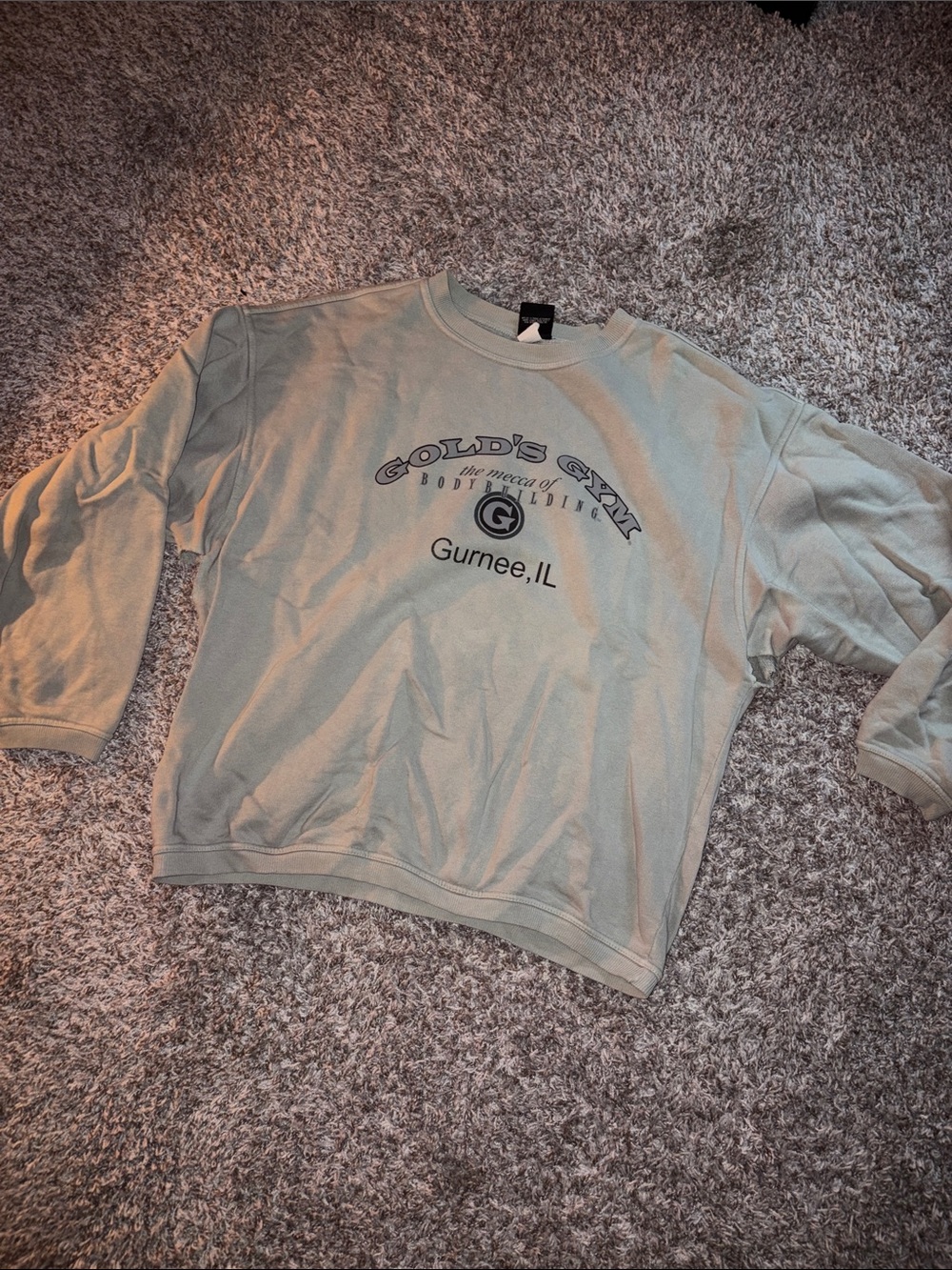 vintage golds gym Gurnee, IL Men's Light Green Crewneck Sweatshirt